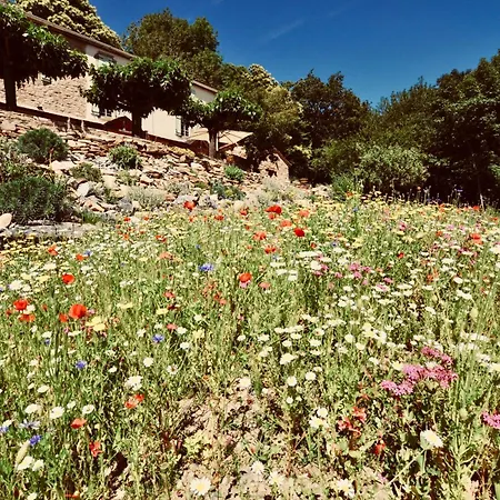 Holiday home Les Coumayres