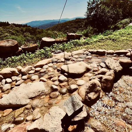 Les Coumayres Tatil Evi *