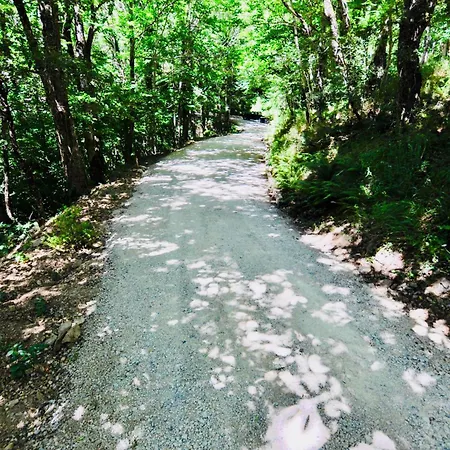 Les Coumayres 別荘 Riols